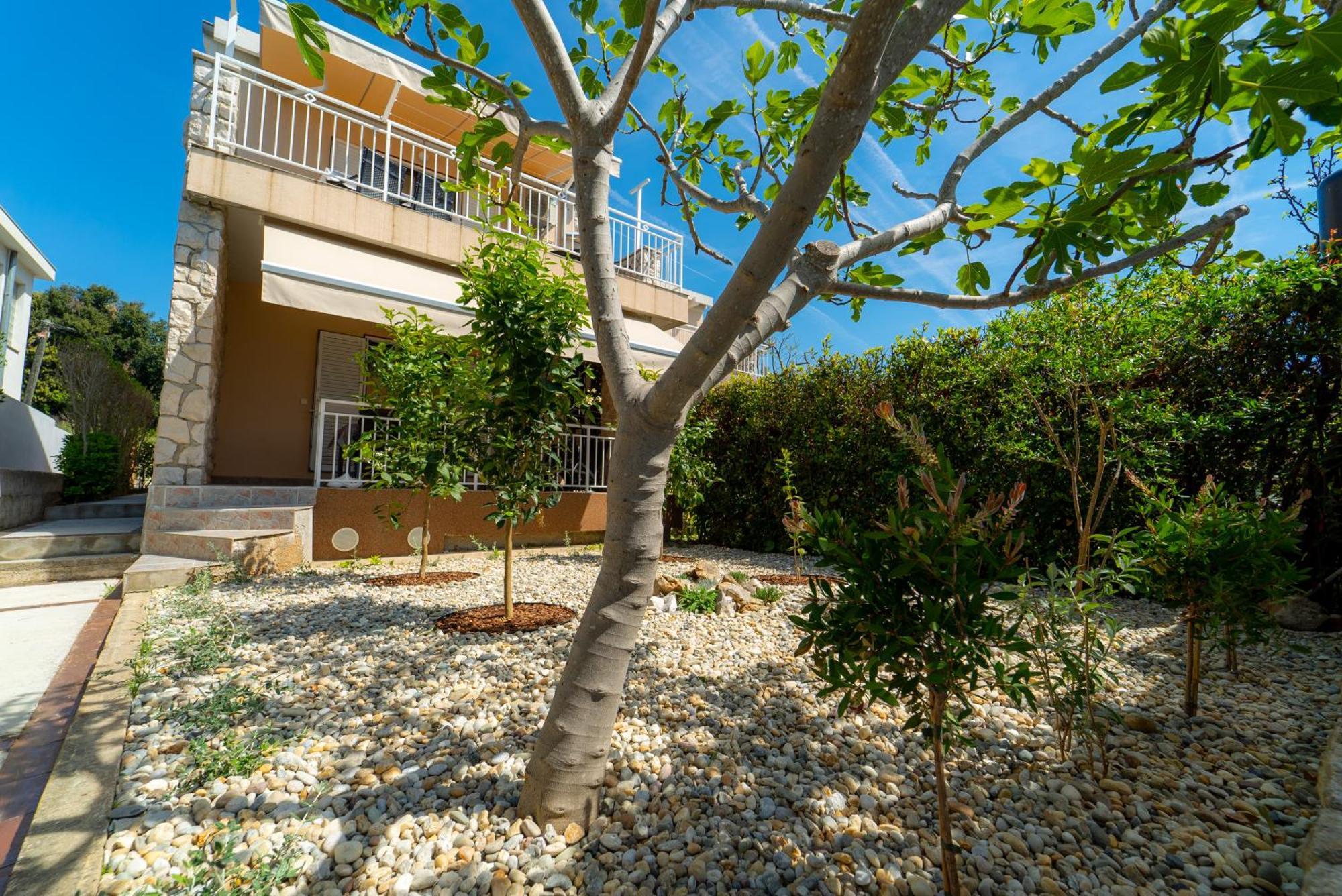 סבטי פטר Apartments Ivos מראה חיצוני תמונה